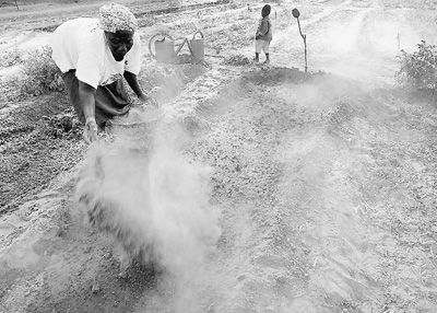 非洲土地市场的高回报率吸引着外来投资者。图为塞内加尔农民正在挖渠种田。人民图片