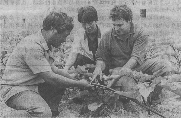 1622551699575376.png 8.png