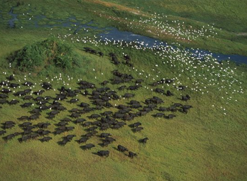 1630246452245214.png 1630246452245214.png