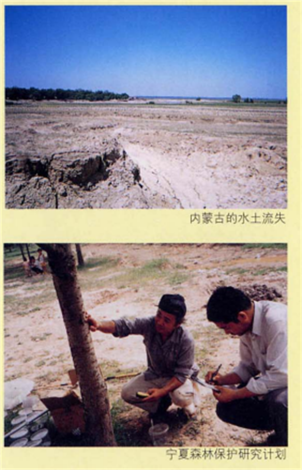 1645284815573892.png 15.png