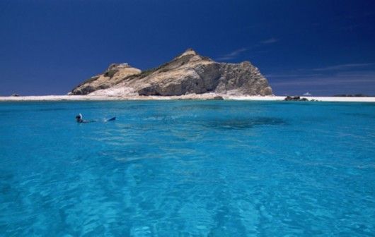 日本拟将奄美及琉球诸岛申报世界自然遗产。资料图