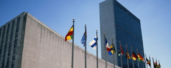 1600850195678506.png 1.png