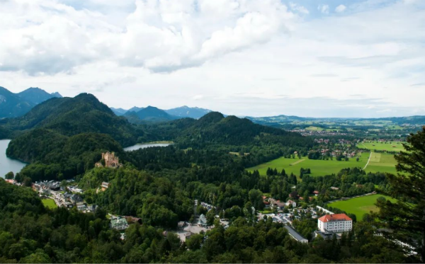 1604486283336966.png 30.png