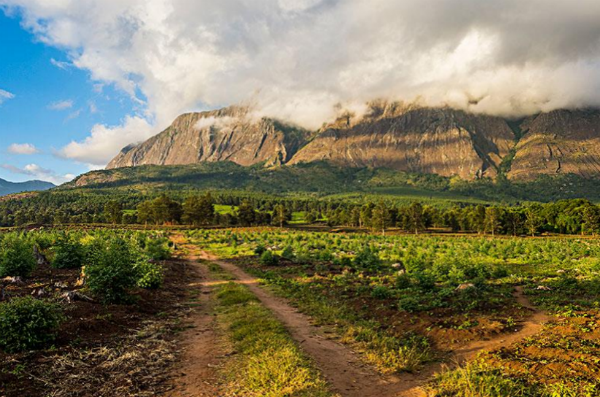 1608735354455339.png 11.png