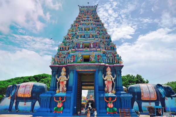 1617198741547801.jpg 7.jpg