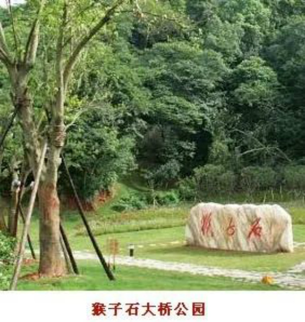 1621322769102644.jpg 10.jpg