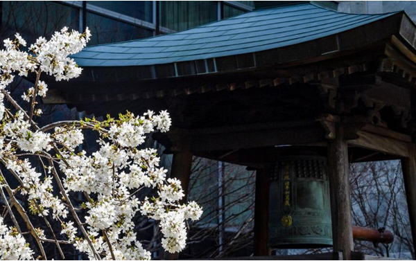 1630227979976372.png 7.png