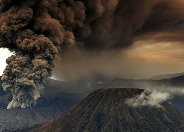 1633242098115501.png 6.png