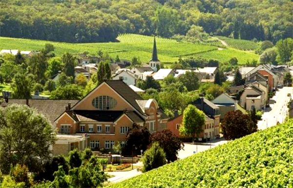 1647157711477701.png 9.png