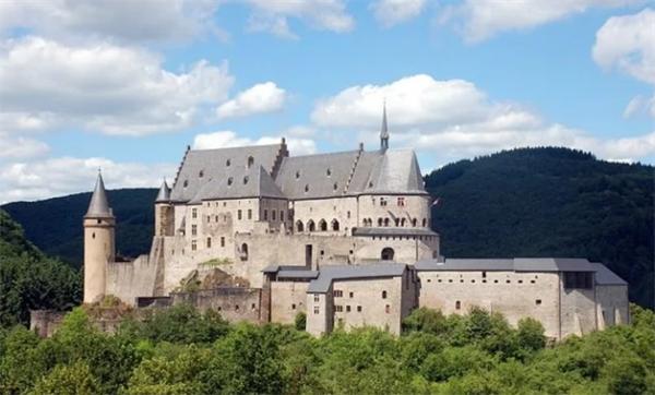 1647157855800098.png 15.png