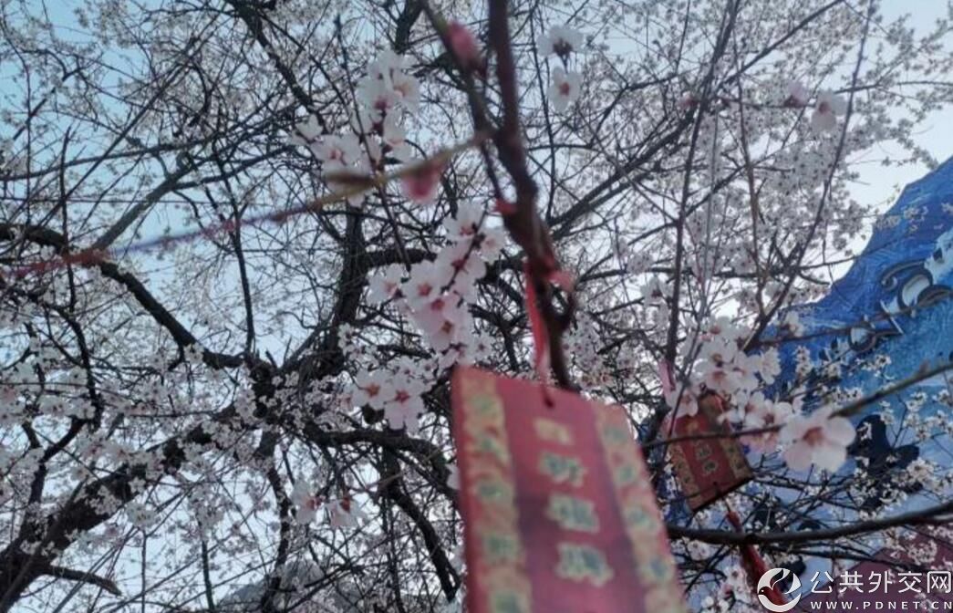 32b9efb5d39c8686b2939c4b9adadb68.jpg 32b9efb5d39c8686b2939c4b9adadb68.jpg